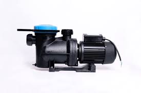 Pool Pumps