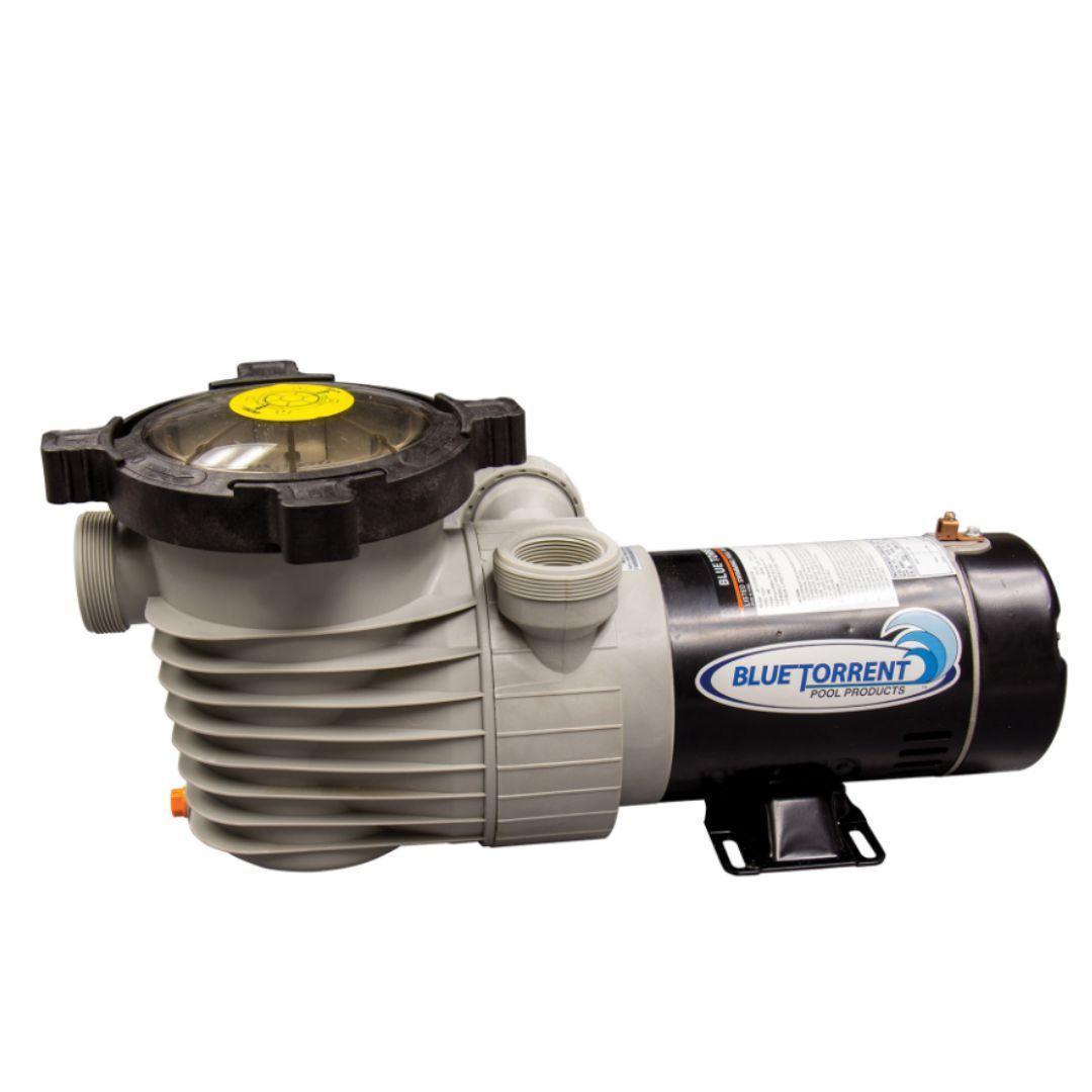 1.0 HP  with Switch Hurricane Dual Port Pool Pump
